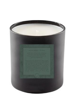 Soy Candle | Velvet Moss + Citrus